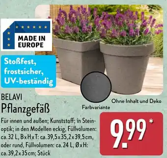 Aldi Nord BELAVI Pflanzgefäß Angebot