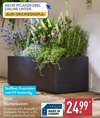 Aldi Nord BELAVI Blumenkasten Angebot