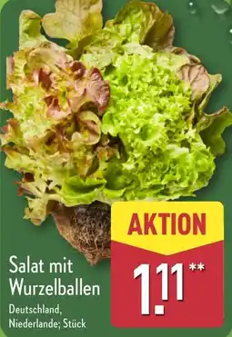 Aldi Nord Salat mit Wurzelballen Angebot