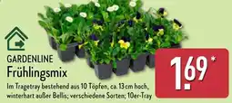 Aldi Nord GARDENLINE Frühlingsmix Angebot