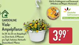 Aldi Nord GARDENLINE Viola- Ampelpflanze Angebot