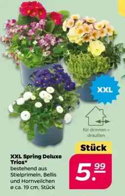 NETTO XXL Spring Deluxe Trios Angebot