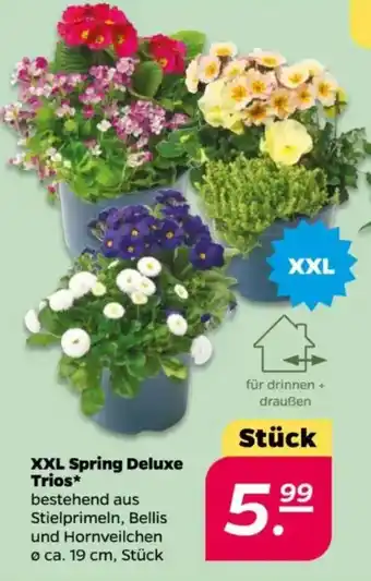 NETTO XXL Spring Deluxe Trios Angebot