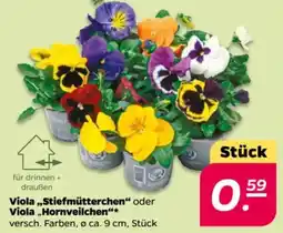 NETTO Viola,,Stiefmütterchen" oder Viola,,Hornveilchen'' Angebot