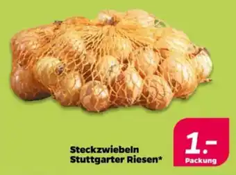 NETTO Steckzwiebeln Stuttgarter Riesen Angebot