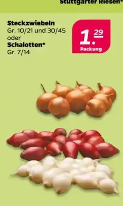 NETTO Steckzwiebeln oder Schalotten Angebot