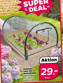 NETTO Gewächs- haus mit Holzrahmen Angebot