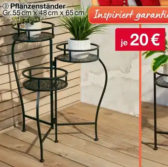 Woolworth Pflanzenständer Angebot