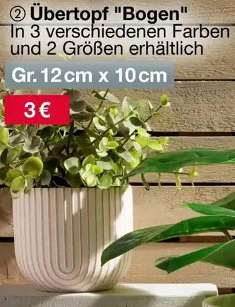 Woolworth Übertopf "Bogen" Angebot