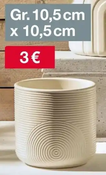 Woolworth Übertopf Angebot