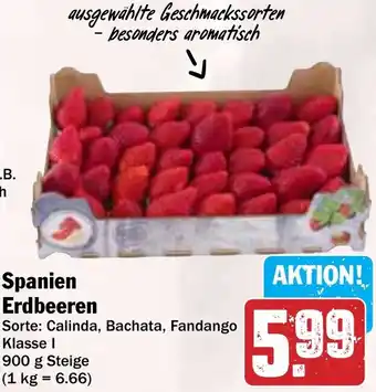 Hit Spanien Erdbeeren Angebot