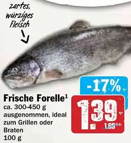 Hit Frische Forelle Angebot