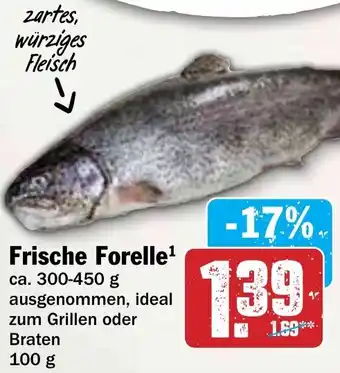 Hit Frische Forelle Angebot