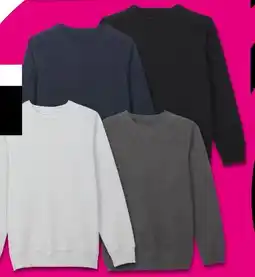 Woolworth Herren Sweatshirts Angebot