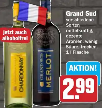 Hit Grand Sud Angebot