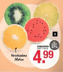 Hofmeister Stuhlkissen „fruits“ Angebot