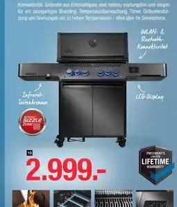 Hofmeister Napoleon grill Angebot