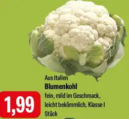 Feneberg Blumenkohl Angebot