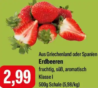 Feneberg Erdbeeren Angebot