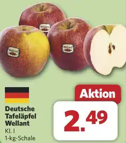 Combi Deutsche Tafeläpfel Wellant Angebot