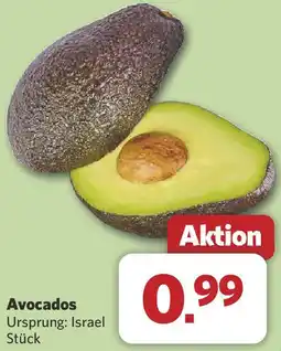 Combi Avocados Angebot