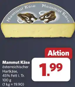 Combi Mammut Käse Angebot