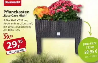 Sonderpreis Baumarkt Pflanzkasten ,,Rato Case High" Angebot