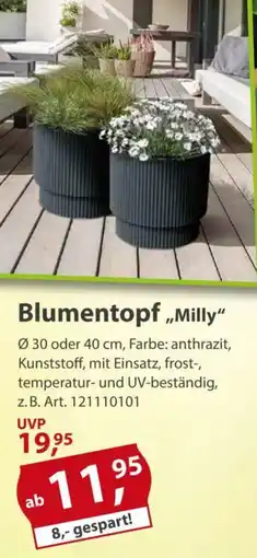 Sonderpreis Baumarkt Blumentopf „Milly" Angebot