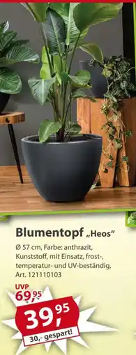 Sonderpreis Baumarkt Blumentopf,,Heos" Angebot