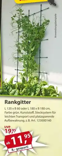 Sonderpreis Baumarkt Rankgitter Angebot