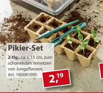 Sonderpreis Baumarkt Pikier-Set Angebot