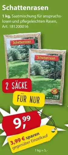 Sonderpreis Baumarkt Schattenrasen Angebot