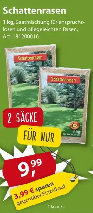 Sonderpreis Baumarkt Schattenrasen Angebot