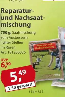 Sonderpreis Baumarkt Reparatur- und Nachsaat- mischung Angebot