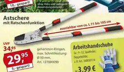 Sonderpreis Baumarkt Astschere mit Ratschenfunktion Angebot