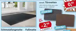 Sonderpreis Baumarkt versch. Türmatten Angebot