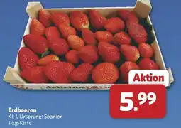 Combi Erdbeeren Angebot