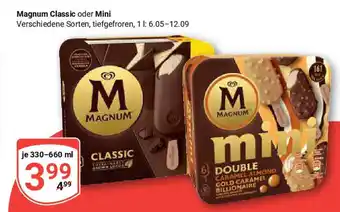 Globus Magnum Classic oder Mini Angebot