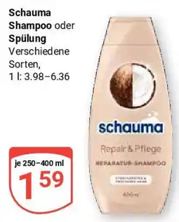 Globus Schauma Shampoo oder Spülung Angebot