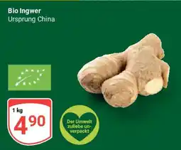 Globus Bio Ingwer Angebot