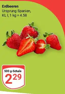 Globus Erdbeeren Angebot