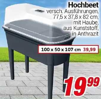 CENTERSHOP Hochbeet Angebot