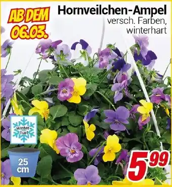 CENTERSHOP Hornveilchen-Ampel Angebot