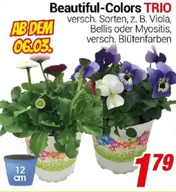 CENTERSHOP Beautiful-Colors TRIO Angebot