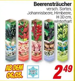 CENTERSHOP Beerensträucher Angebot