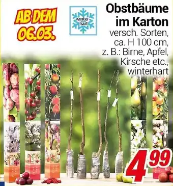 CENTERSHOP Obstbäume im Karton Angebot