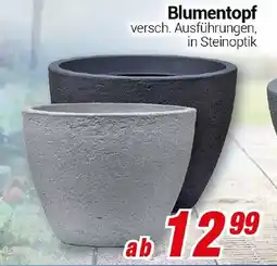 CENTERSHOP Blumentopf Angebot