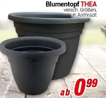 CENTERSHOP Blumentopf THEA Angebot