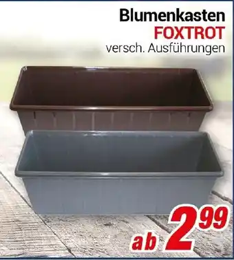 CENTERSHOP Blumenkasten FOXTROT Angebot