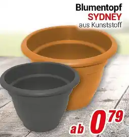 CENTERSHOP Blumentopf SYDNEY Angebot